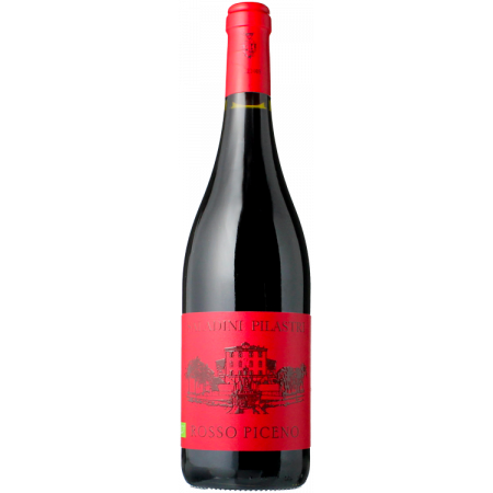 Rosso Piceno 2024 - Saladini Pilastri Rosso Piceno 2024 - Saladini Pilastri