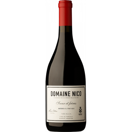 Histoire d'A Pinot Noir 2023 - Domaine Nico Histoire d'A Pinot Noir 2023 - Domaine Nico