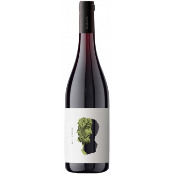 Otre Aglianico 2022 - Cantine Teanum - 0.75L