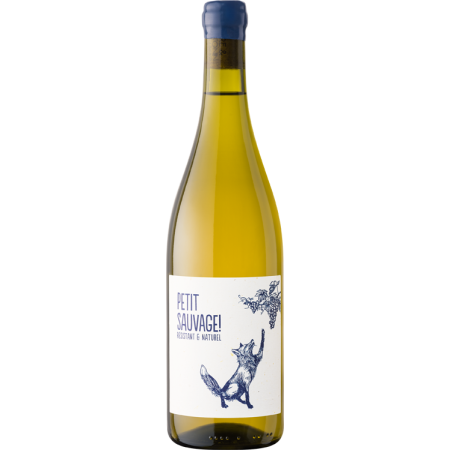 Petit Sauvage bianco 2025 - Vitigno resistente - Pierre & Antonin Petit Sauvage bianco 2025 - Vitigno resistente - Pierre & Antonin