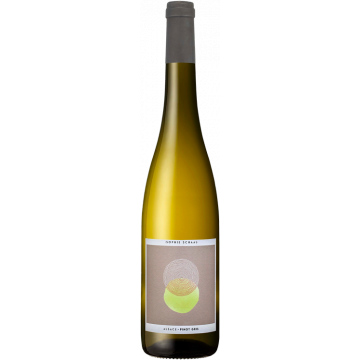 Pinot Gris 2025 - Sophie Schaal - 0.75L