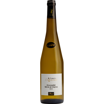 Muscadet Sèvre et Maine Sur Lie Prestige 2025 - Domaine de L'Espérance - 0.75L