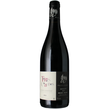Terres Chaudes 2024 - Domaine Roches Neuves Thierry Germain - 0.75L
