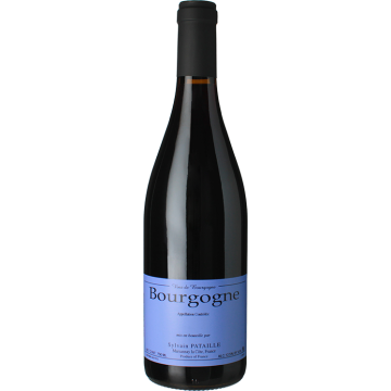 Bourgogne Rouge 2023 - Domaine Sylvain Pataille - 0.75L