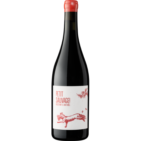 Petit Sauvage rouge 2025 - Cépage résistant - Pierre & Antonin Petit Sauvage rouge 2025 - Cépage résistant - Pierre & Antonin