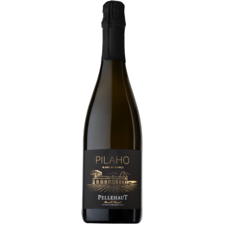 Vino spumante - Pilaho - Blanc de Blancs Extra Brut - Pellehaut Vino spumante - Pilaho - Blanc de Blancs Extra Brut - Pellehaut