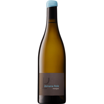 Morogues 2025 - Domaine Henry Pellé - 0.75L