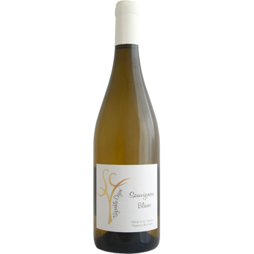 Sauvignon