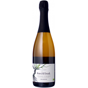 Crémant d'Alsace Promesse - Domaine Fernand Engel - 0.75L