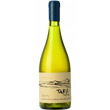 White Wine N°1 - Chardonnay