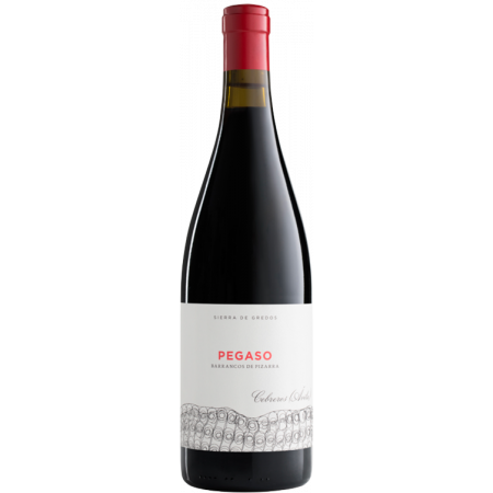 Pizarra 2022 - Pegaso - Telmo Rodríguez Pizarra 2022 - Pegaso - Telmo Rodríguez