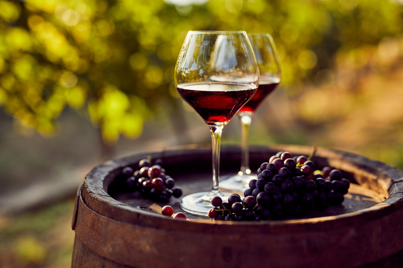 Bicchieri di vino rosso, vigne, uve, selezione di vini rossi