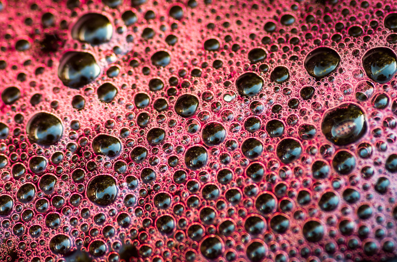 Fermentazione, vino, uve, aromi secondari
