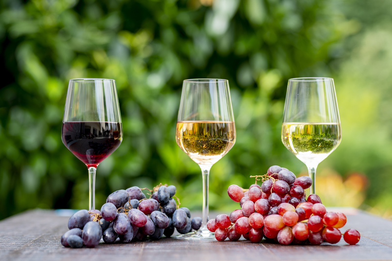 vino rosso bio, vino rosé bio, vino bianco bio