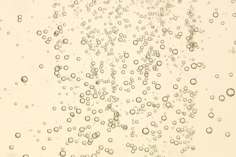 crémant o champagne?