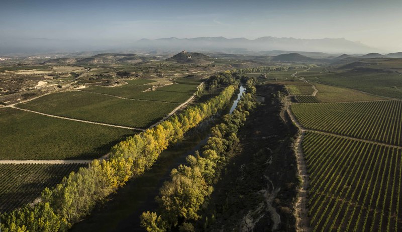 rioja vignoble