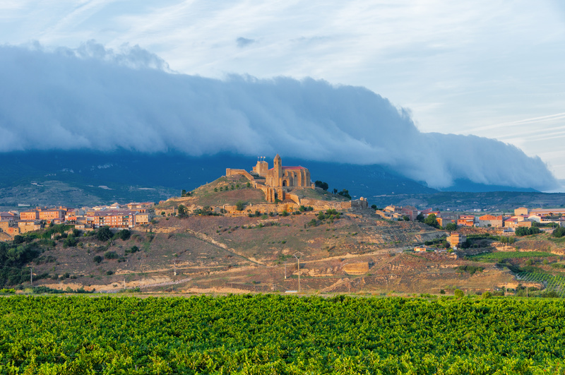 rioja vignoble