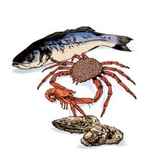 Pesce e Ruinart blanc de blancs