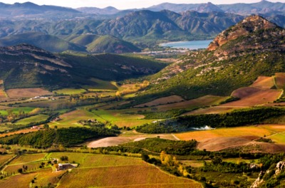 Vini della Corsica