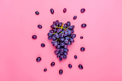 Vino vegan, vino vegetariano, vino vegetaliano