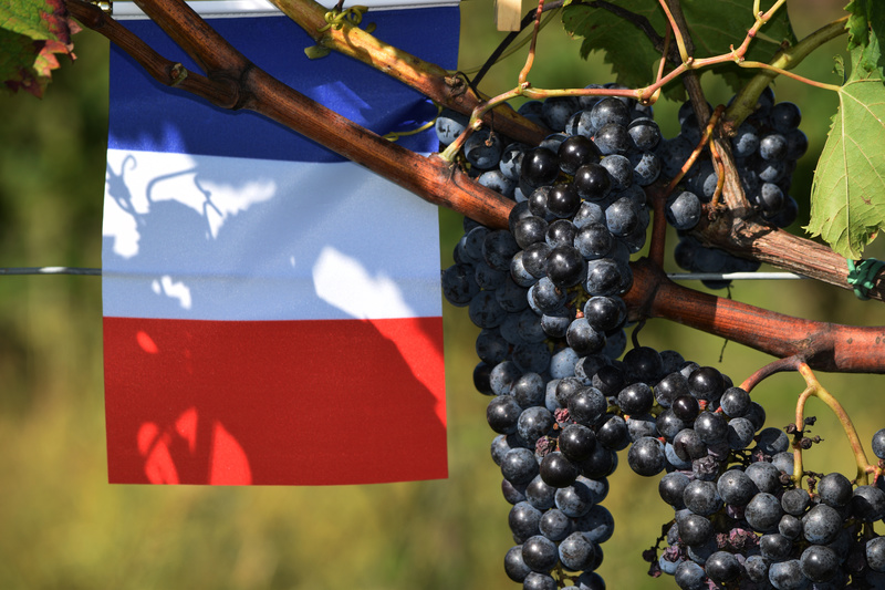vino francese