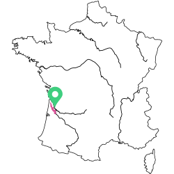 Carte medoc