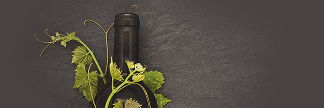 Vin Nature : notre sélection sans soufre / sans sulfites ajoutés