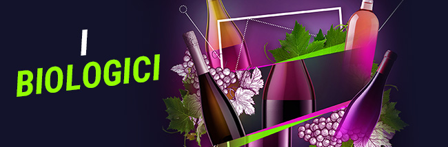 Vins bio foire aux vin
