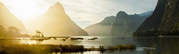 Les vins d'Australie et les vins de Nouvelle-Zélande : des bonnes affaires pour voyager