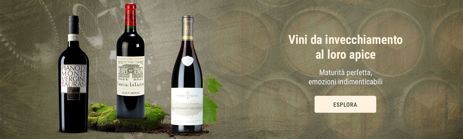 Vini da invecchiamento al loro apice
